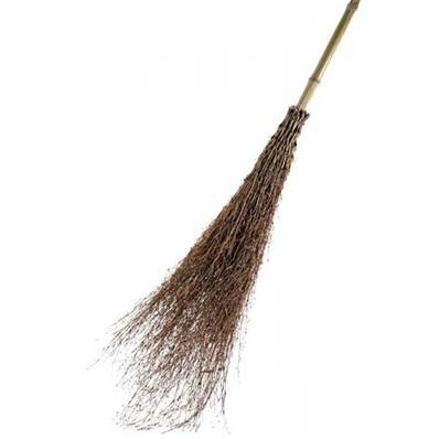 SCOPA BAMBU CON MANICO