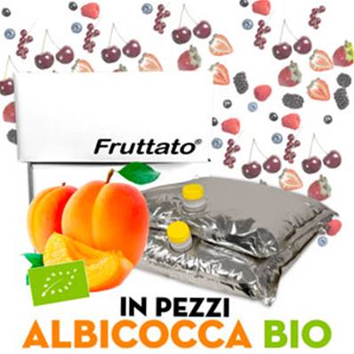 FRUTTATO ALBICOCCA BIO PEZZI 2x10KG