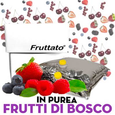 FRUTTATO FRUTTI DI BOSCO PUREA 2x10KG