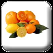 FRUTTATO AGRUMI PUREA 2x10KG