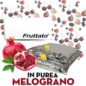 FRUTTATO MELOGRANO PUREA 2x10KG