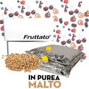 FRUTTATO MALTO PUREA 2x10KG