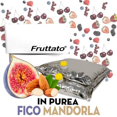 FRUTTATO FICO E MANDORLA PUREA 2x10KG