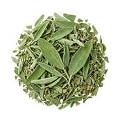 SALVIA CONTUSA - KG 1