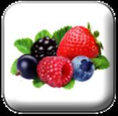 FRUTTATO FRUTTI DI BOSCO PUREA 2x10KG